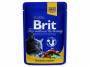 BRIT Premium Cat Chicken & Turkey kapsička 100 g