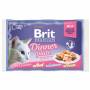 Kapsičky pro kočky BRIT Premium Cat Delicate Fillets in Jelly Dinner Plate