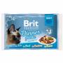 Kapsičky pro kočky BRIT Premium Cat Delicate Fillets in Gravy Dinner Plate
