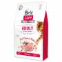BRIT Care Cat Grain-Free Adult Activity Support