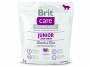 BRIT Care Junior Large Breed Lamb & Rice