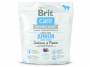 BRIT Care Grain-free Junior Large Breed Salmon & Potato