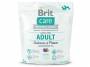 BRIT Care Grain-free Adult Salmon & Potato