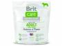 BRIT Care Grain-free Adult Large Breed Salmon & Potato