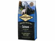 CARNILOVE Salmon for Adult 12 kg