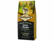 CARNILOVE Salmon & Turkey for Large Breed Adult 12 kg