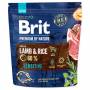 Krmivo BRIT Premium by Nature Sensitive Lamb 1 kg