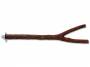 Bidýlko BIRD JEWEL přírodní 30 cm