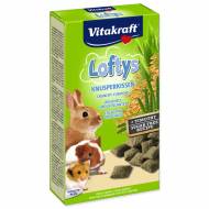 Křupky pro hlodavce VITAKRAFT Loftys 100 g