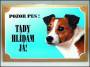 Tabulka jack russel terier