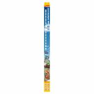 SERA LED Cool Daylight 965