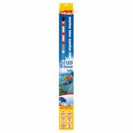 SERA LED Marine Blue Sunrise 520