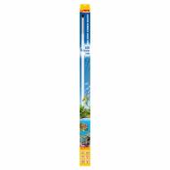 SERA LED Neutral Brilliant white 965