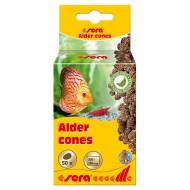 SERA alder cones