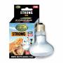 Žárovka UVA Solar Basking Spotlight 75W