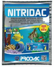 Prodac Nitridac 25 ml