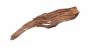 Desert driftwood L