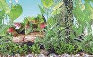 Akvarijní pozadí GRASSY XL 71 cm x 15 m