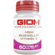 Giom ERA akutní pohybové potíže 60 tbl.+10%