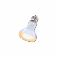 ReptiZoo žárovka Daylight basking spot 75W