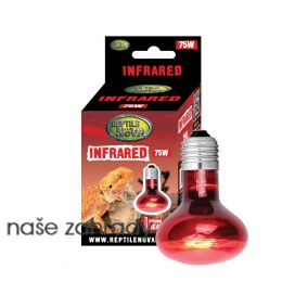 Reptile Nova InfraRed 75W