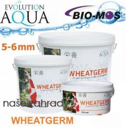 Evolution  Aqua Wheatgerm 5-6 mm 15kg