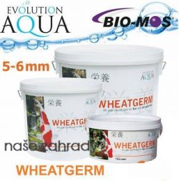 Evolution  Aqua Wheatgerm 5-6 mm 800g