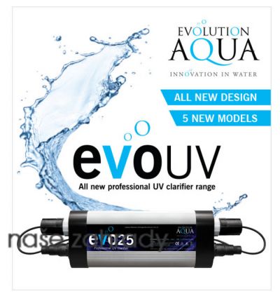 evo_evolution_aqua