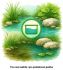 INVITAL ClarDrop 100 g