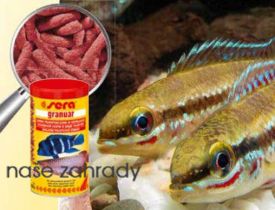 krmeni_pro_cichlidy