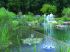 Water Quintet