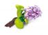 Pontec PondoHyacinth Blooming