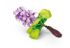 Pontec PondoHyacinth Blooming