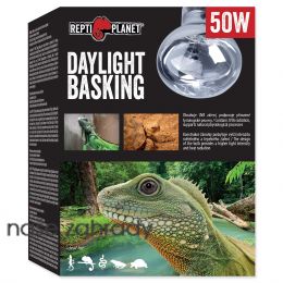 Žárovka REPTI PLANET Daylight Basking Spot 50 W