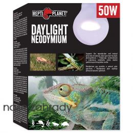 Žárovka REPTI PLANET Daylight Neodymium 50 W