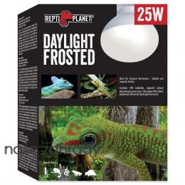 Žárovka REPTI PLANET Daylight Frosted 25 W