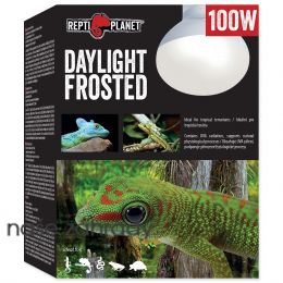 Žárovka REPTI PLANET Daylight Frosted 100 W