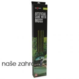 Dekorace liána REPTI PLANET s mechem 2x200 cm