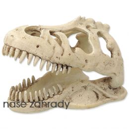 Dekorace REPTI PLANET T-REX lebka 13,3 cm