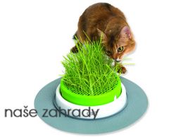 Trávník CAT IT Design Senses 2.0