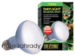 Terarijní žárovka Daylight Basking Spot 75 W