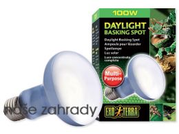 Terarijní žárovka Daylight Basking Spot 100W