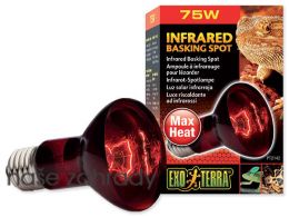 Žárovka EXO TERRA Infrared Basking Spot 75 W