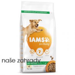 IAMS Dog Adult Large Chicken 3 kg