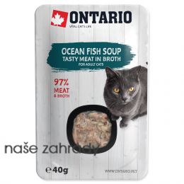 ONTARIO Cat Soup Ocean Fish with vegetables