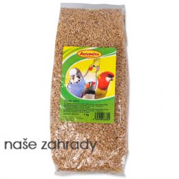 Loupaný oves AVICENTRA 1kg