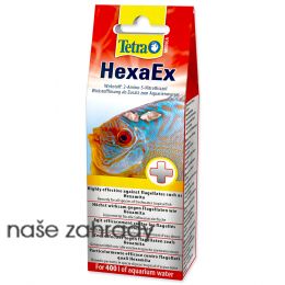 TETRA Medica HexaEx