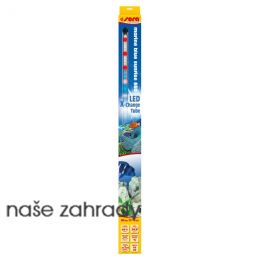 SERA LED Marine Blue Sunrise 660