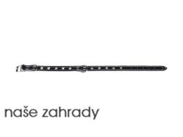 Obojek BONNIE hvězdičky 40 x 1,6 černá