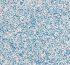 Písek Prodac Fine sand white/ blue 2,5 kg